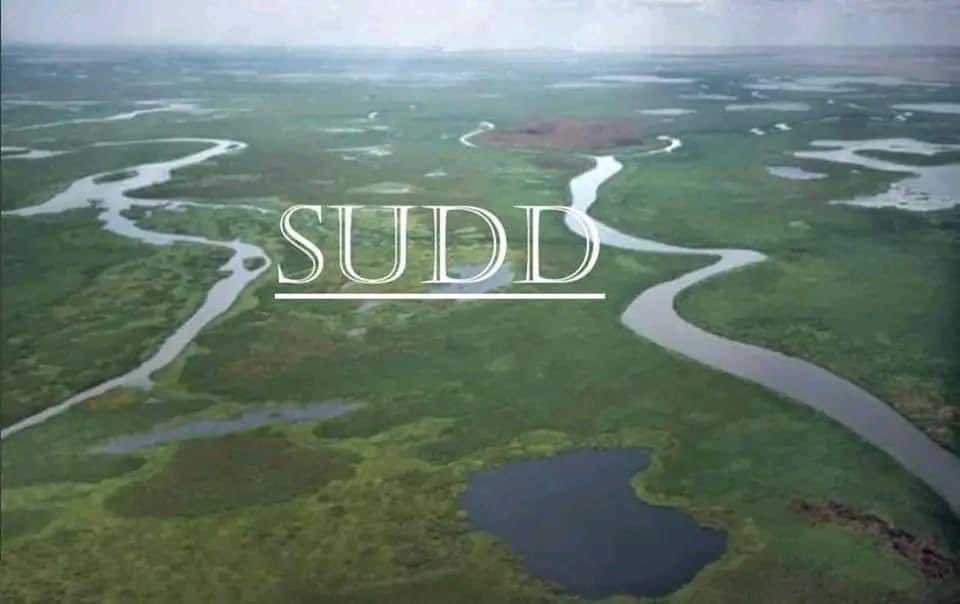 JohnAkec's tweet photo. THE SUDD IS THE WORLD’S 8TH MIRACLE 
The Sudd Wetland is our natural heritage of supreme value. It’s the 8th miracle. It was engineered by God. Let no man tamper with it. https://t.co/j1BBA9Kvki