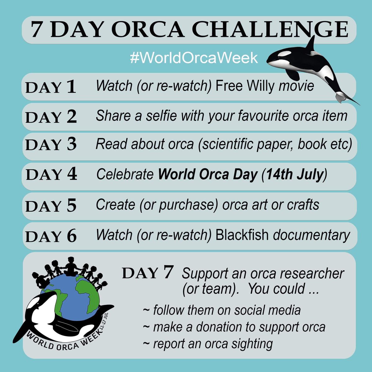 World Orca Day tweet media