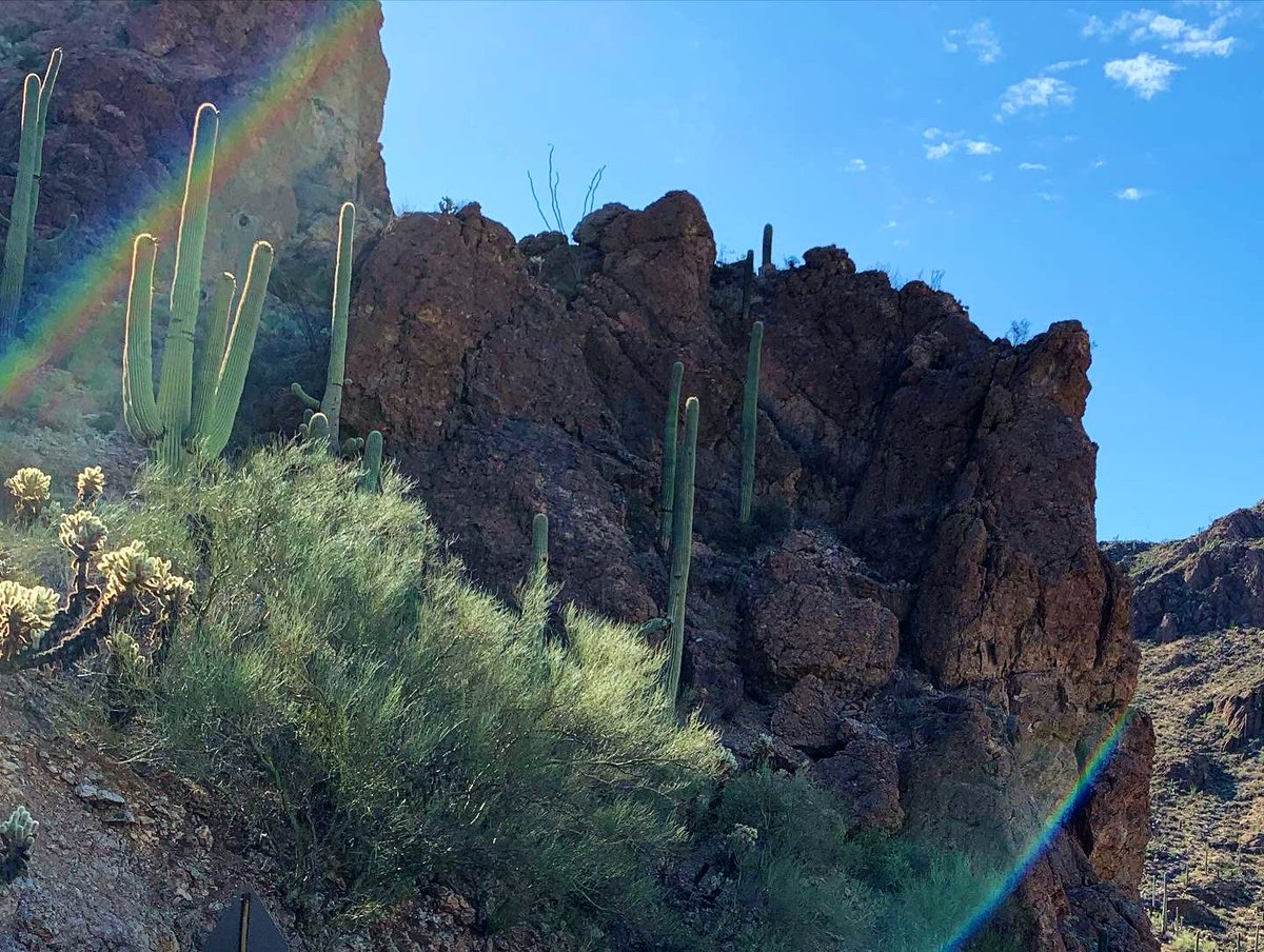 totallytucson's tweet photo. Happy Sunday, #Tucson! 107 and sunny today. Hiked in and around #GatesPass this morning when it was a “cool” 82. Not a long hike but love those precarious rocks upon which you must concentrate. All good! Happy trails in #Tucson! @VisitTucsonAZ #sunday #sundayvibes https://t.co/Fb1k43dhUf
