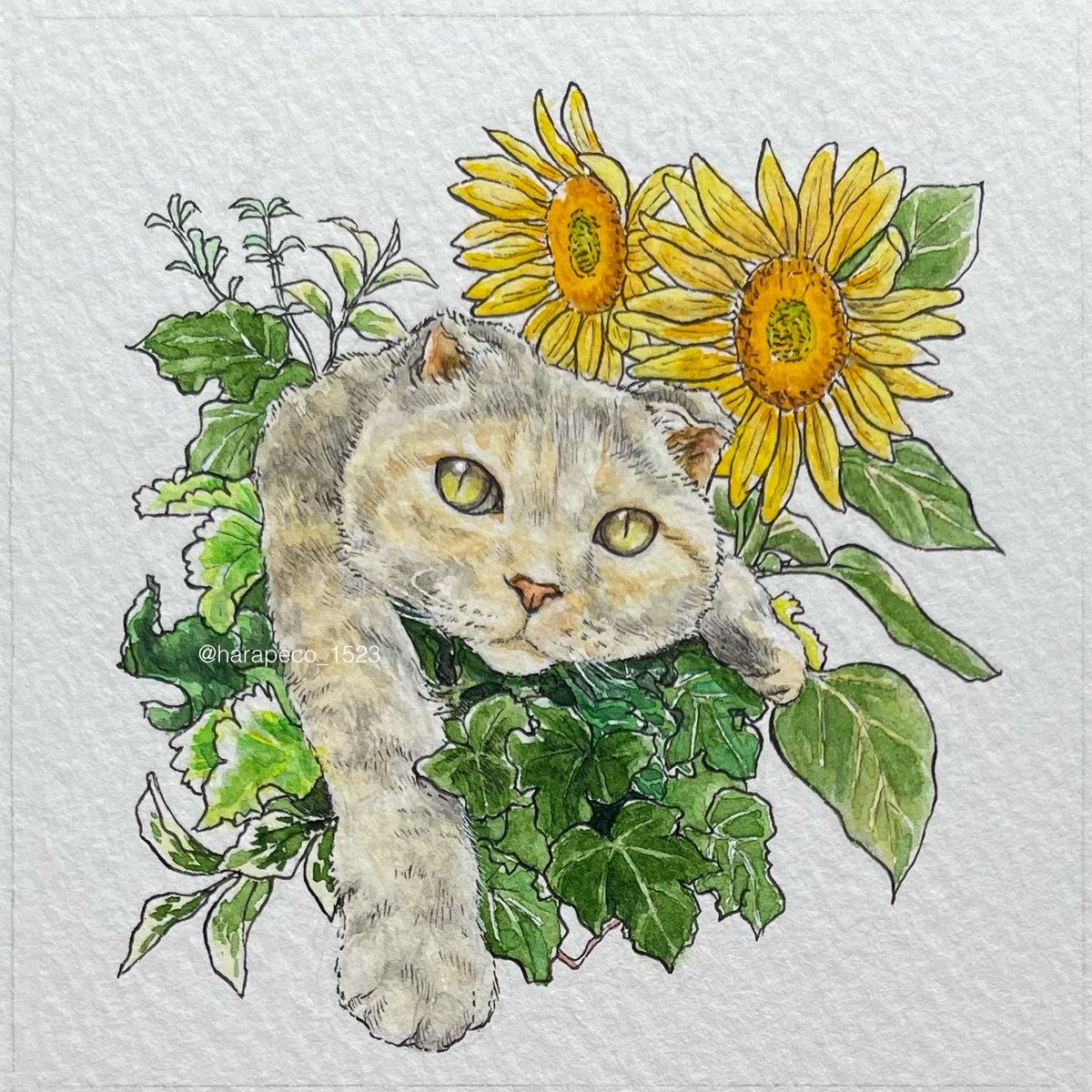 どらやき のイラスト マンガ作品 135 件 Twoucan