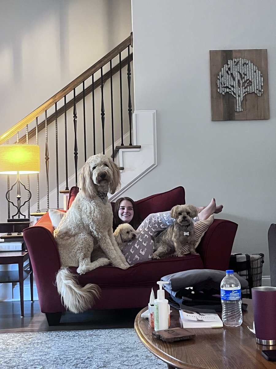 chief_beyer's tweet photo. This couch is getting a little full

Time to downsize #OnlyChild https://t.co/2FTz0Cn8o1