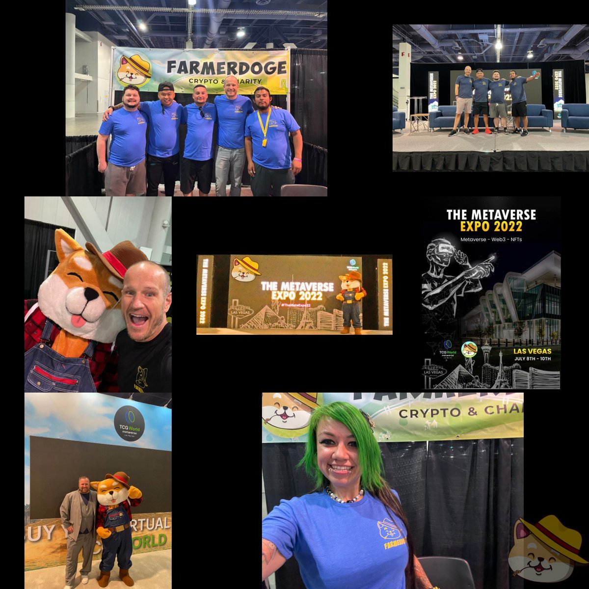 FarmerDoge tweet media