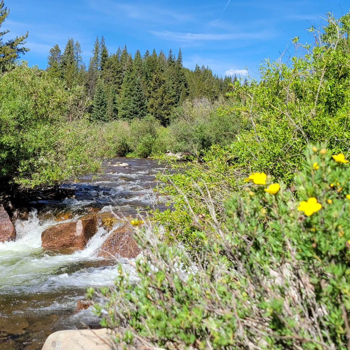 MeganHolstein's tweet photo. Wonderful weekend training for what I like to call the Mountain Triathlon. 🛶🚲🥾
Paddleboarding, cycling, and hiking in the beautiful Colorado mountains (with perfect weather!) https://t.co/NrRKxBV3W5