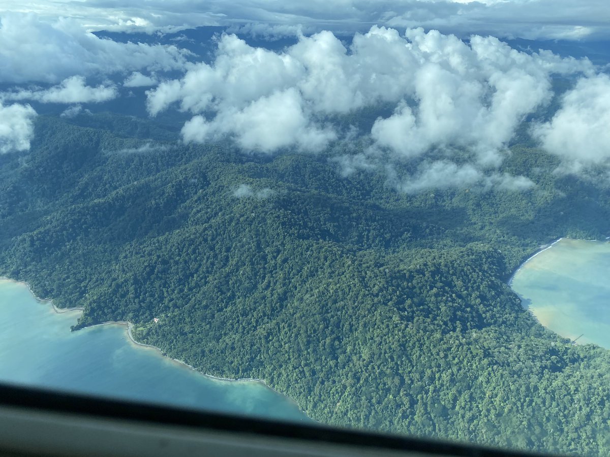 Goodbye to the Costa Rican Pacific rainforest (for now). There’s surely a Plato Negro coiled up somewhere down below and that alone makes it a special place!