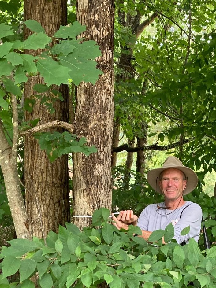 rmcowdrick's tweet photo. Fortunate to have spent this past week working on the Adventure Scientists’ White Oak project.

If you care about healthy forests then consider supporting this project.  More information at https://t.co/yFLHnnwfiG

#timbertracker #getoutside #volunteer https://t.co/vtedNto4wx