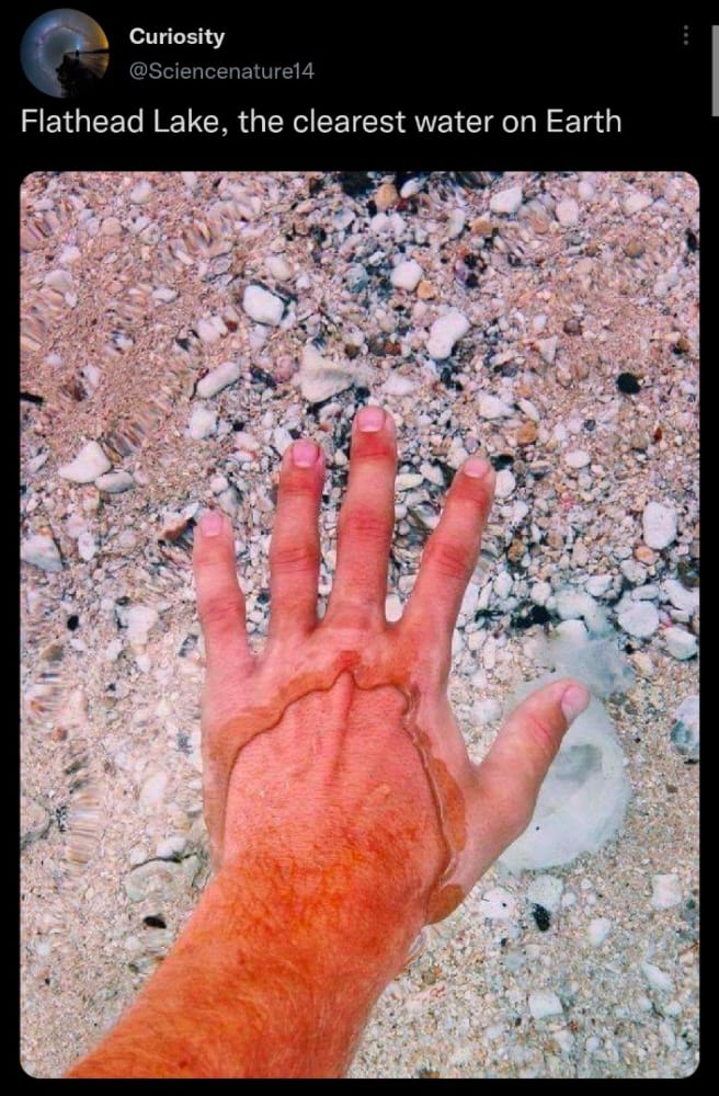 PygeeNonso's tweet image. Nature 🤗