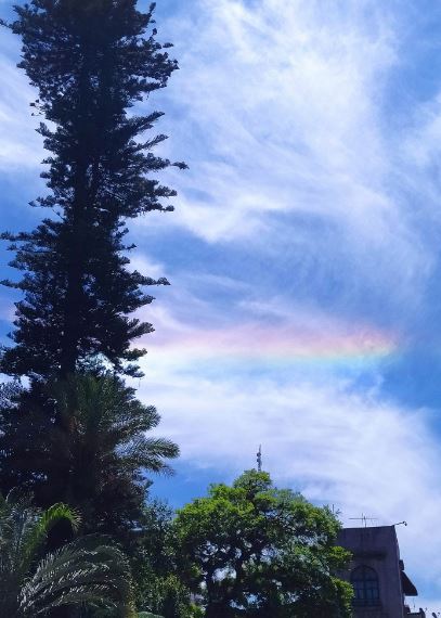 GolfoNoticias_'s tweet photo. spcver: 7:50 pm. En redes sociales nos comparten algunas imágenes captadas durante este domingo 10 de julio, desde Fortín, Xalapa y Coatzacoalcos. Crédito a sus autores, gracias por compartir! #Nubes #Veracuz #México #Foto #Domingo #spcver #Xalapa #Coatz… https://t.co/EDwyrvNgy1