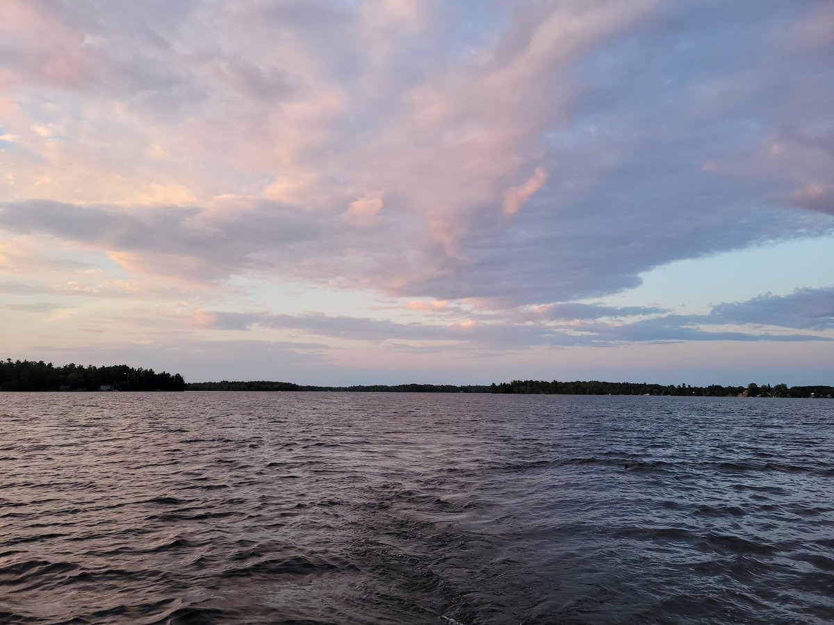 D Needham tweet media