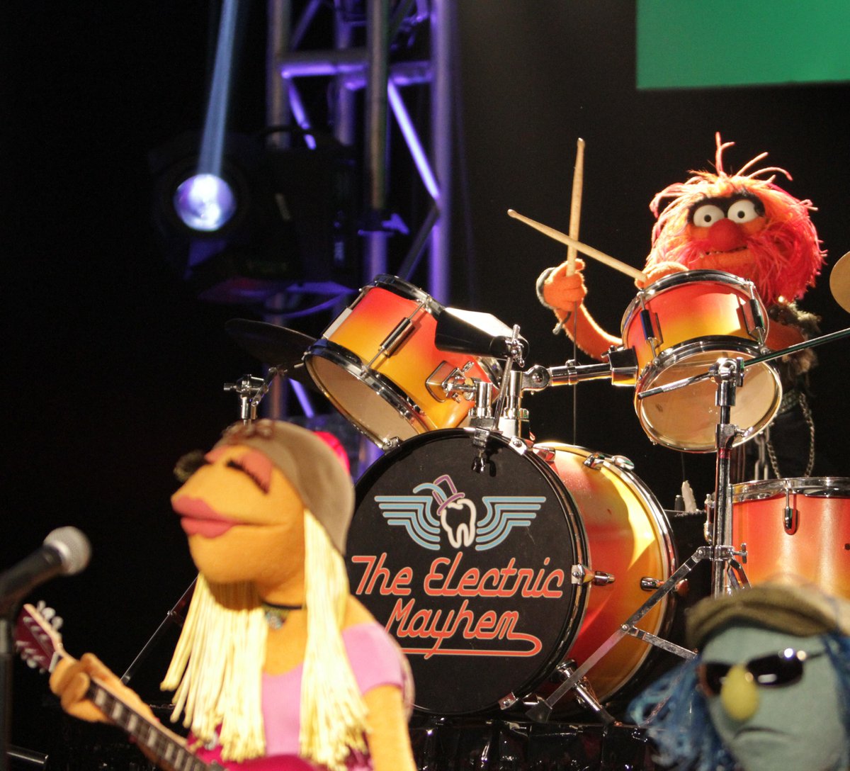 We wouldn't say that Animal gets impatient when he's ready to play music, but he once finished a five-minute drum solo in one minute and 18 seconds!