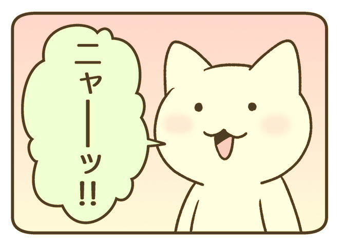 ニャー🐱 