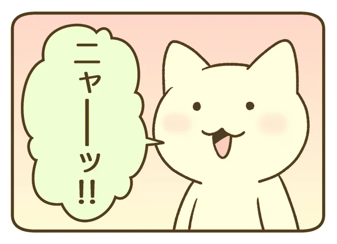 ニャー🐱 