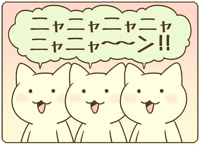 ニャー🐱 