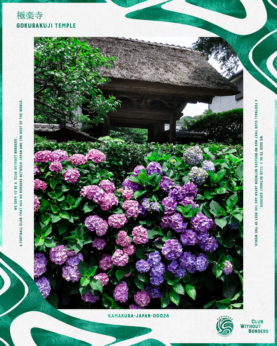 kamakura_inter's tweet photo. #NFT コンテンツ「#鎌倉 デジタルコレクション」、紫陽花シリーズの第5弾として「極楽寺」が登場🟢

限定1枚、FiNANCiE @financie_jp 鎌倉インテルトークン保有者限定でご購入いただけます！

👉詳細はこちら
https://t.co/BegwxM7mJl

#鎌倉インテル 
#clubwithoutborders
#FiNANCiE https://t.co/f7QPJOCqQ6