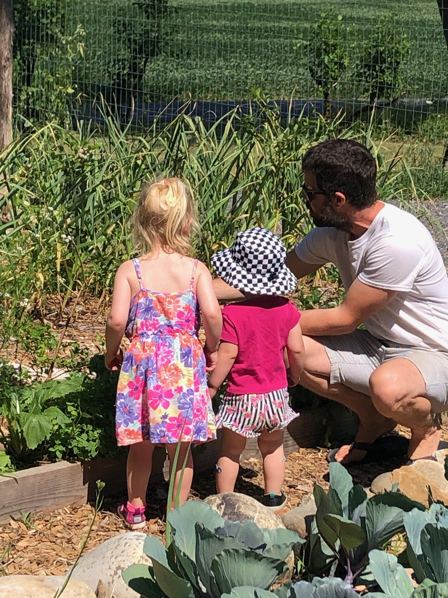 Oroborous2's tweet photo. Finding some blueberries with the kids.
#growstuff & pass it on.
#helf #welf #growf https://t.co/4Fv1sD44m8