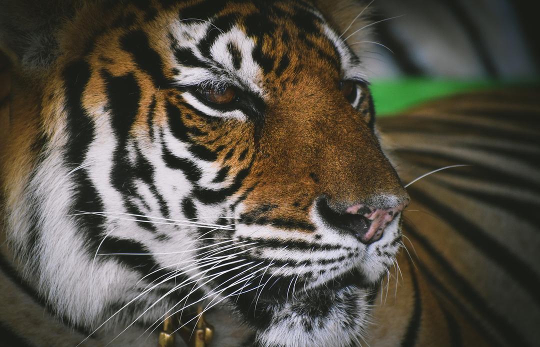 calmscious's tweet image. Allow yourself to take brief pauses throughout stressful times of the day.

Read more 👉 aikn.co/3282e6

#BriefPauses #Sense #DifferentForms #Anger