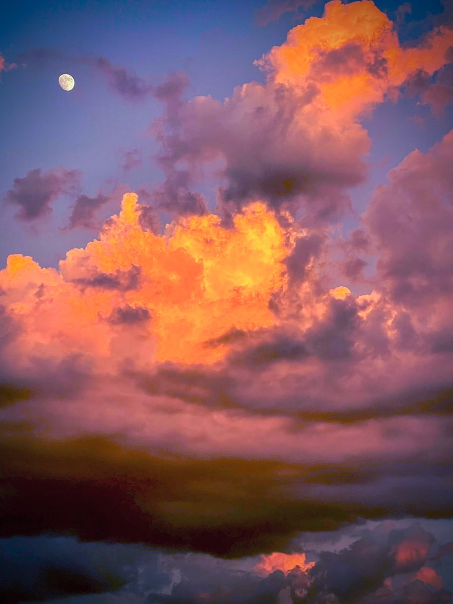 Peyton Aufill tweet media