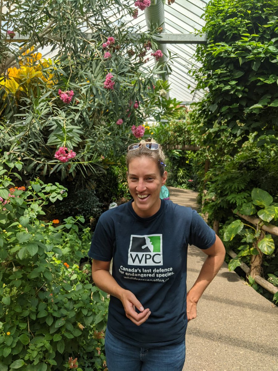 Jessicalinton86's tweet photo. The first brood of mottled duskywing are done flying @PineryProvPark. Our #teambutterfly field crew took the opportunity to visit @Conservatory_ and see the new babies they will soon be releasing!  And the awesome tropical exhibits of course. https://t.co/CN8Nlewdf8