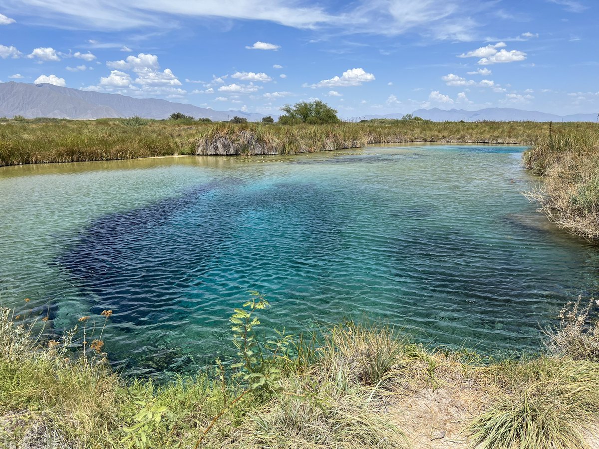 valdez_c's tweet photo. #PozaAzul Cuatro Ciénegas, Coah. https://t.co/uxvZn4xAv6