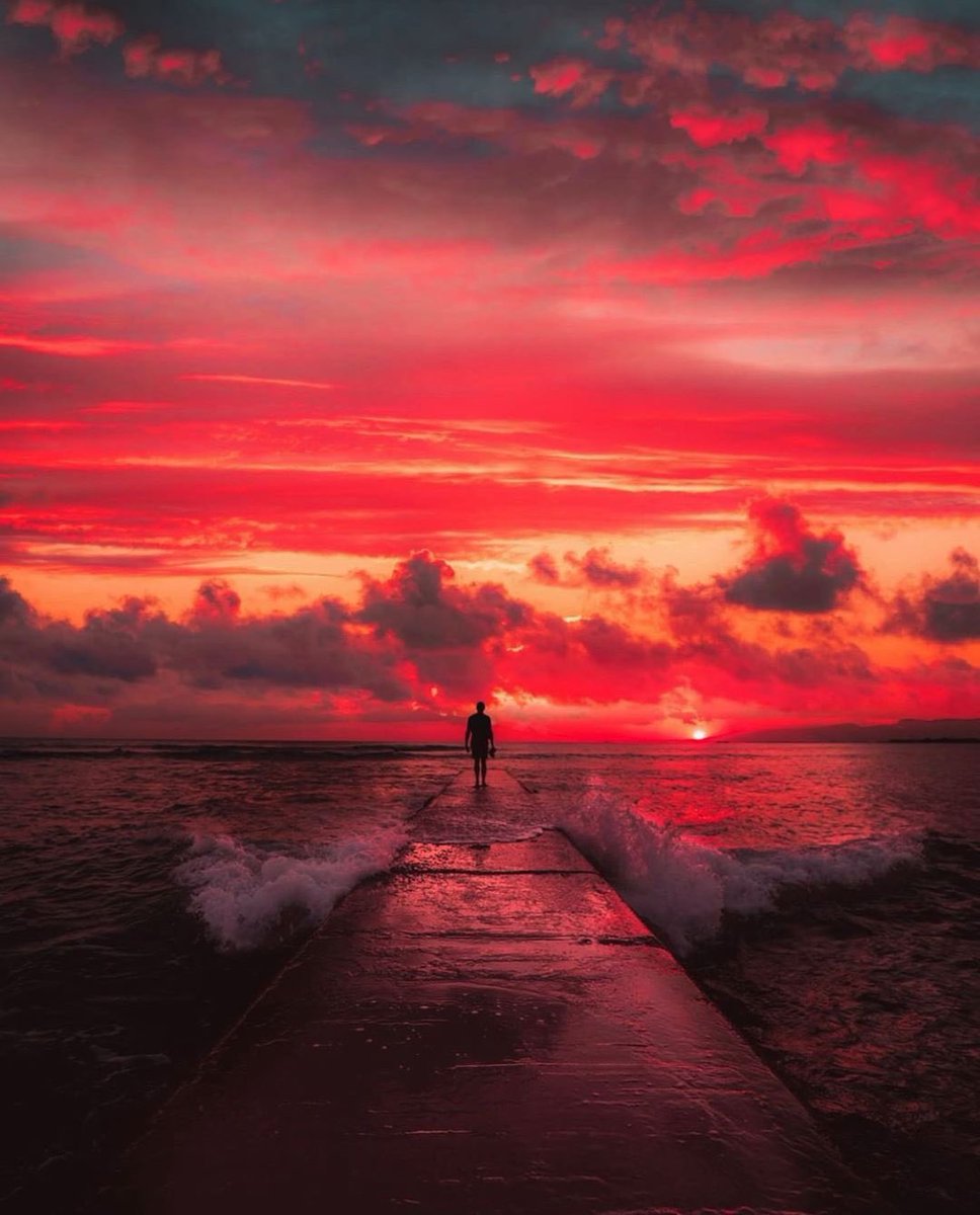 ⚘️🥀🍁⚘️🌷🌼🌻💚🪻💜🩷🧡🩵 tweet media