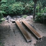 ツイートに含まれる画像