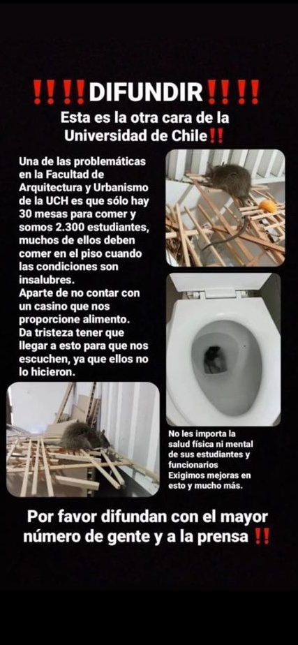 AwwLolo's tweet photo. Abro hilo de las pésimas condiciones y trato deshumanizante que @MundoFAU_uchile pretende seguir dándole a sus estudiantes, quienes están en toma por eso y, con medidas dudosas y un tanto coercitivas, estos prestigiosos académicos quieren que bajen. 
- Estudian al lado de ratas https://t.co/anPPQo9kVT