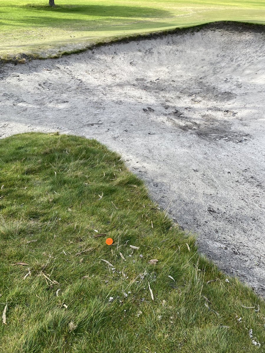 GolfsavedKirsty's tweet photo. 1st fluke of the day. Just missed bunker! #sandylinks #1sthole #flukeshot #Mondaygolf #wintergolf #allabilitiesgolf #womensallabilities https://t.co/VyQNl9LdWn