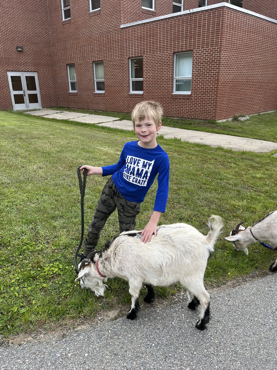 MissKBourque's tweet photo. P is for Petting Farm! 

We skipped “P” to save it for this special activity. The Healing Farm visited our school with their animals and our students loved getting to interact with them. 😊 https://t.co/XpV42ziZ93