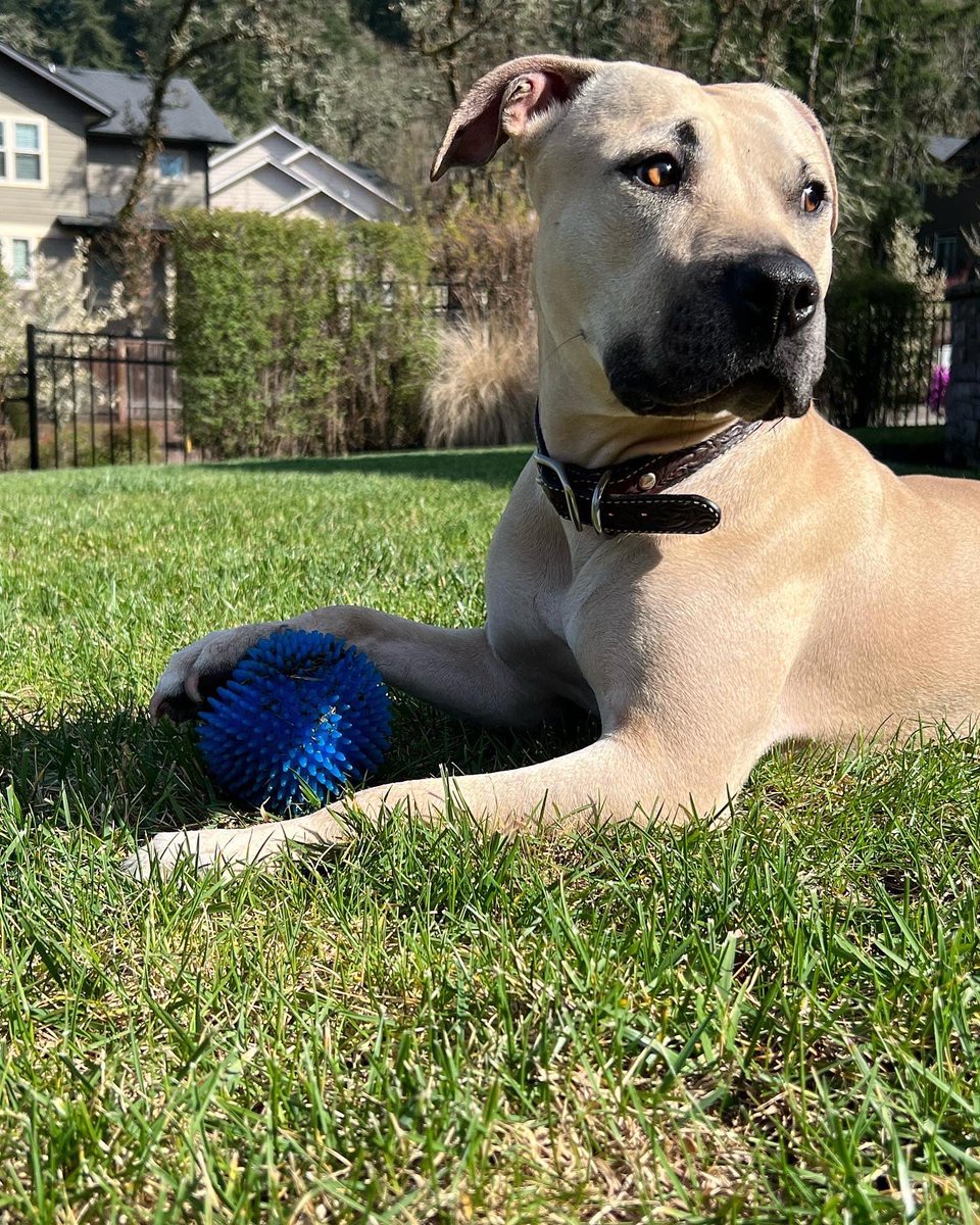 Cutest girl there is 🥰