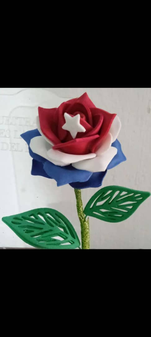 Esta es la flor de la soberanía y quiero compartirla con todos los revolucionarios hijos de esta patria grande. Hazla tuya y defiende sus conquistas al precio de cualquier sacrificio. 
#AlImperialismoNiUnTanticoAsi