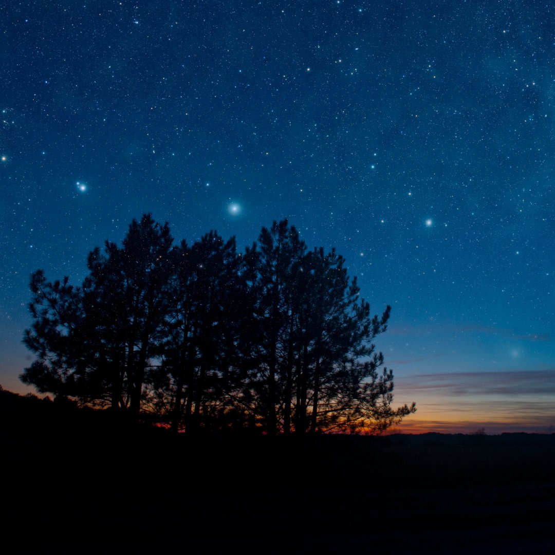 SujayAstrologic's tweet image. Moon entered Jyeshta nakshatra. Jyeshta meaning 'eldest' in sanskrit has significant value. Planets in #jyeshta nakshatra tend to show its qualities in 'bigger' way. Identify the house cusp &amp;amp; the planets that are posited in this nakshatra to interpret accordingly. 
#astrology