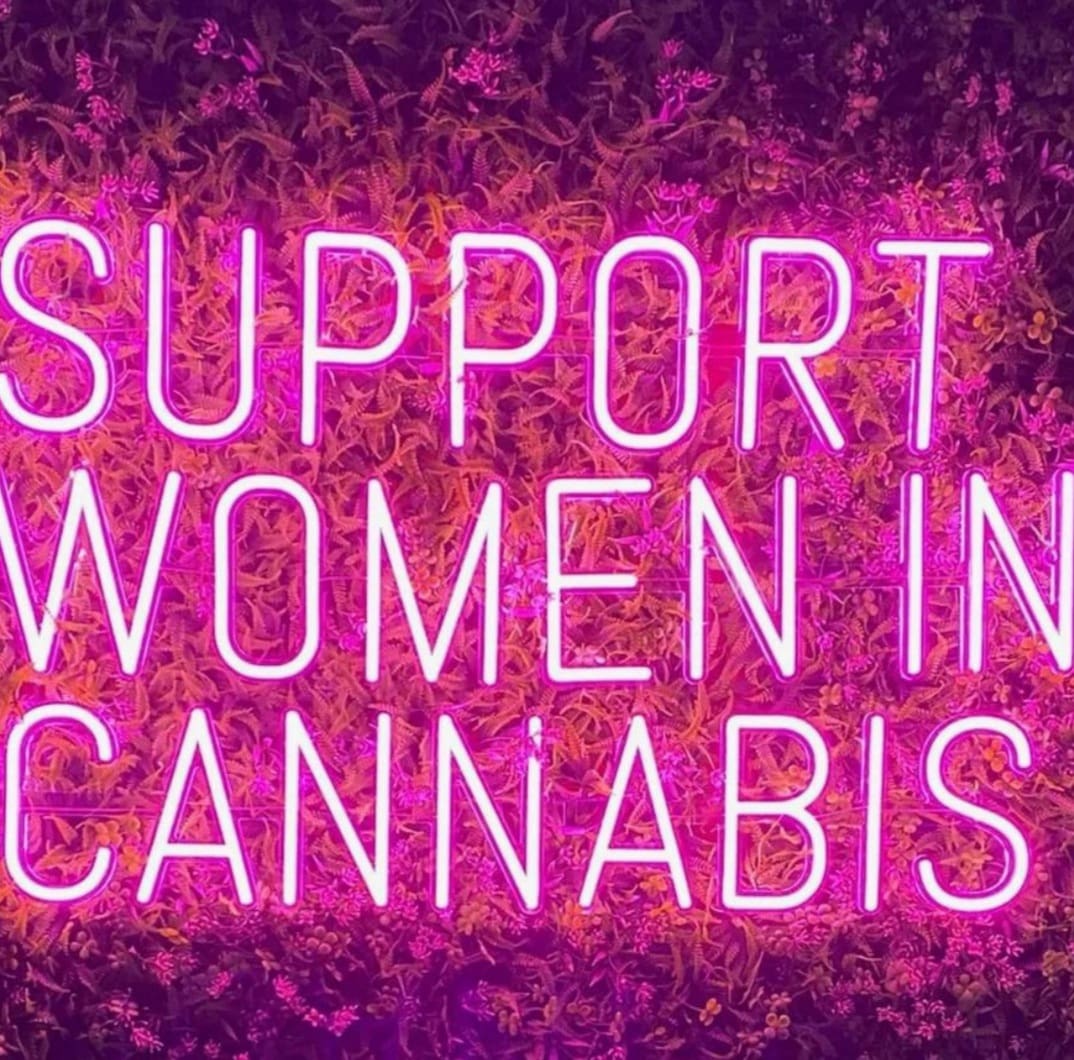 Cute lil baby to occupy me &amp; my 🕷SE3000 while I wait to fill my 5x5 for the International Womens Growers Showcase by <a href="/InhouseGenetics/">Inhouse Genetics</a> thats comin soon♀️👑💚🌬
#blazingjanes #inhousearmy #inhousegenetics #oneworldoneplant #femalegrowers #girlswhogrowweed #spiderfarmerofficial