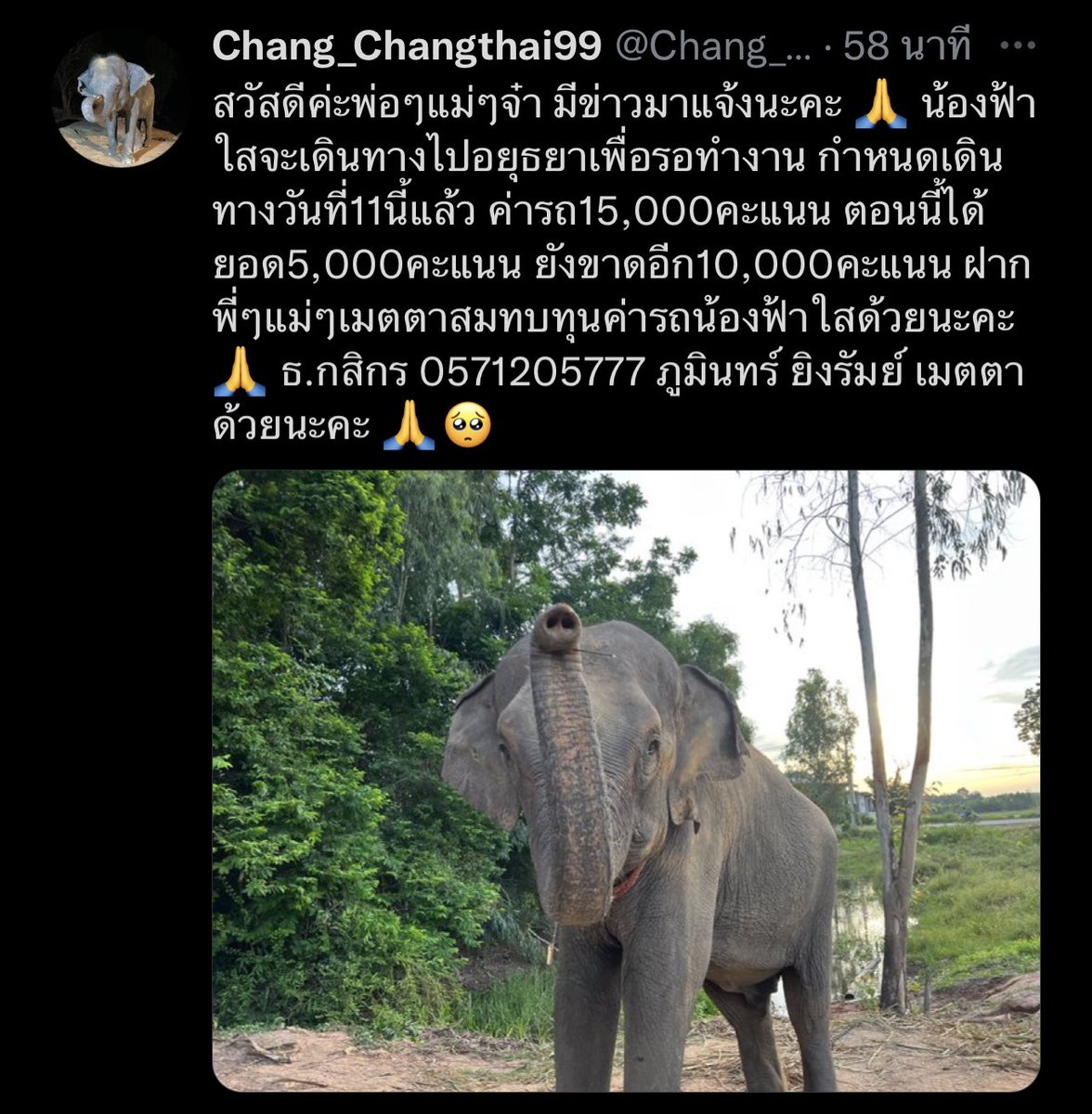 Chang_Changthai99 tweet media