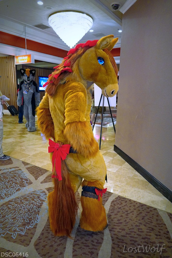 LostWolf321's tweet photo. It's @ValmirHorse @BiggestLittleFC #BLFC2016 #BLFC16
Keep an eye out for this suit, was recently stolen. https://t.co/WBzzUJmm3Q