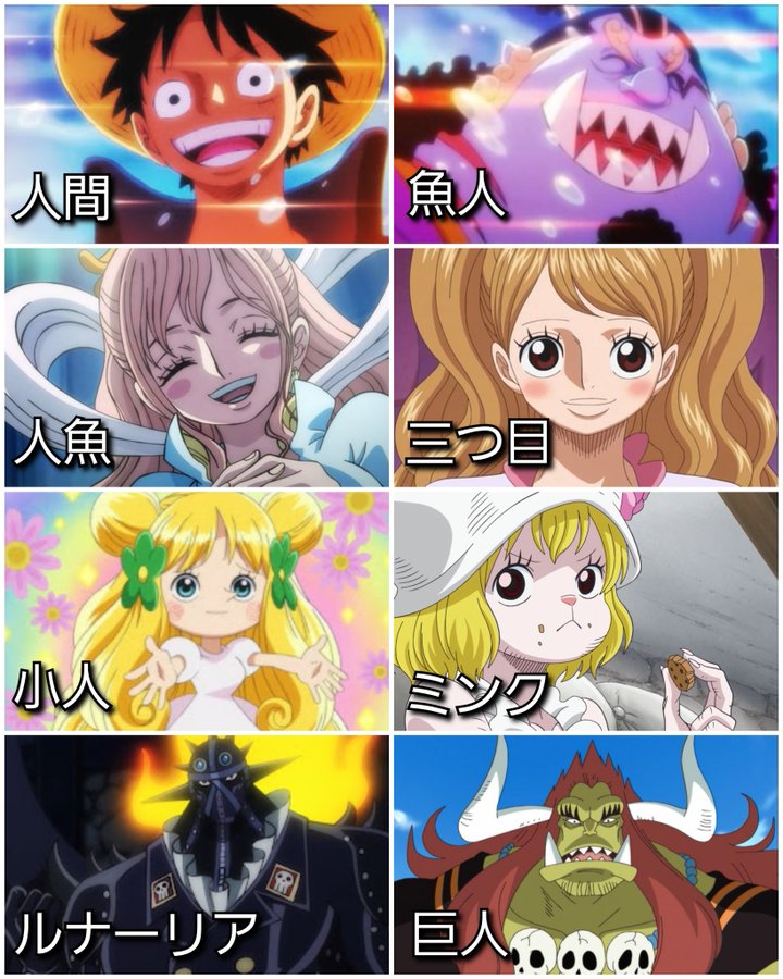 ワンピース 種族や人種一覧 該当キャラクターも合わせて紹介 Selvy