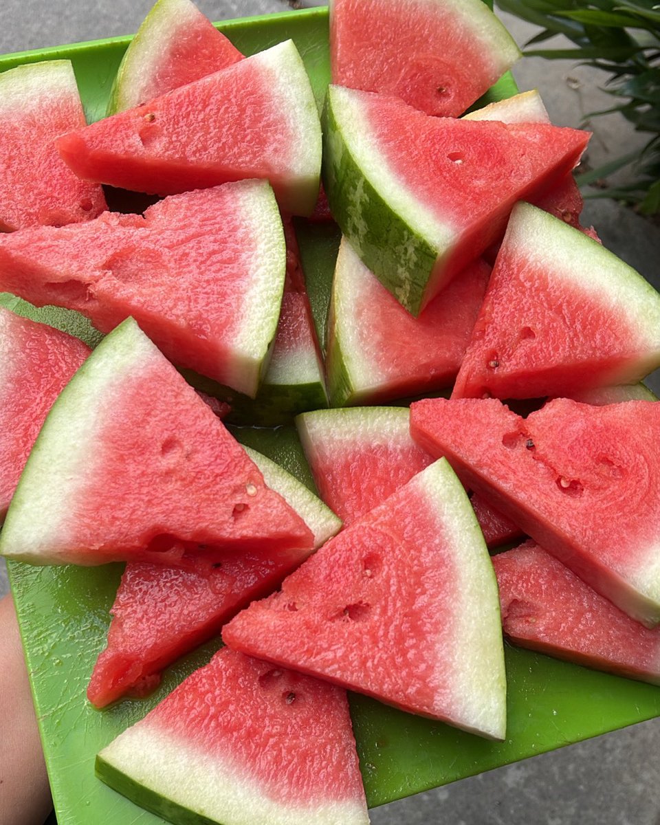 tiandrawilde's tweet photo. I have OD’ed on watermelon multiple times so far this summer. It is just so damn good! https://t.co/dhyeKr2yAs