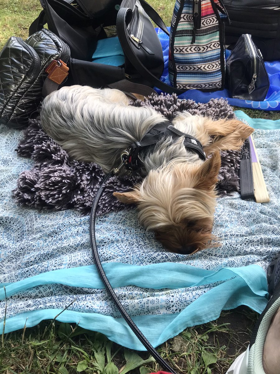 At the end of a great, fun day in Central Park with @thatguitarman. Thanks uncle David for helping us feel the love.