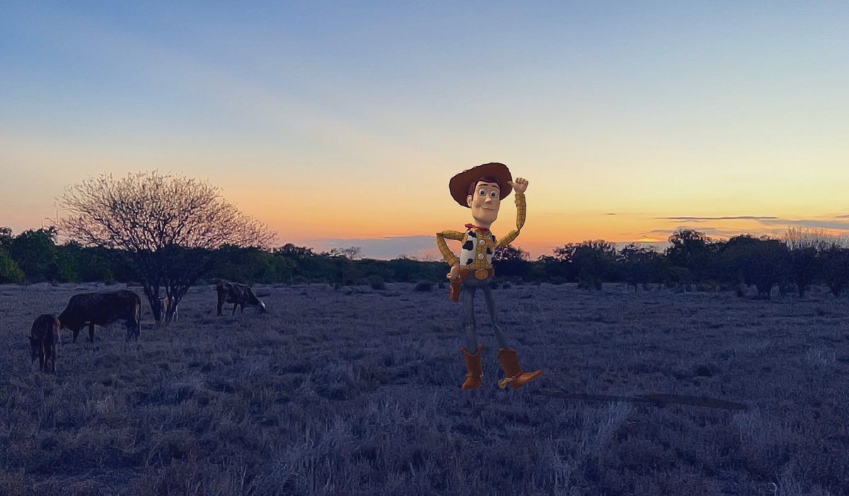 HouseOfBane242's tweet photo. Did this really weird thing and used a VeVe collectible as a collectible!
Woody says this about the market place price trend “That isn’t Flying. That Is Falling With Style." #Veve #HODL #DiscountsEverywhere #toystory @veve_official @toystory #HowdyHowdyHowdy #vevefam #omi https://t.co/UjjtxdyzgM