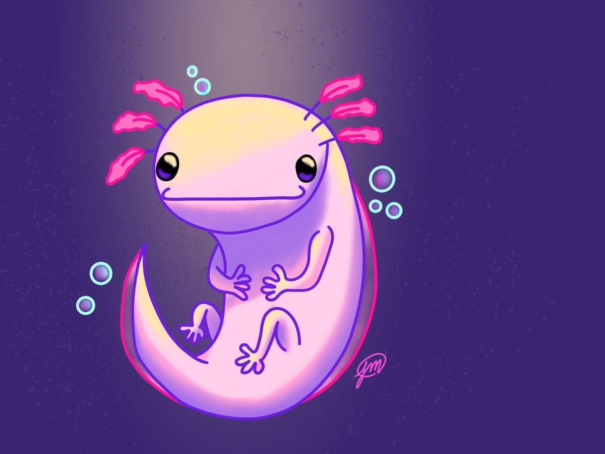 Marvelman001's tweet photo. Finally made another drawing, pretty much a year later. This time on Clipstudio tho 😳

#clipstudiopaint  #axolotl #drawing #ipadart #art #artist #artwork https://t.co/kZkteOyzy1