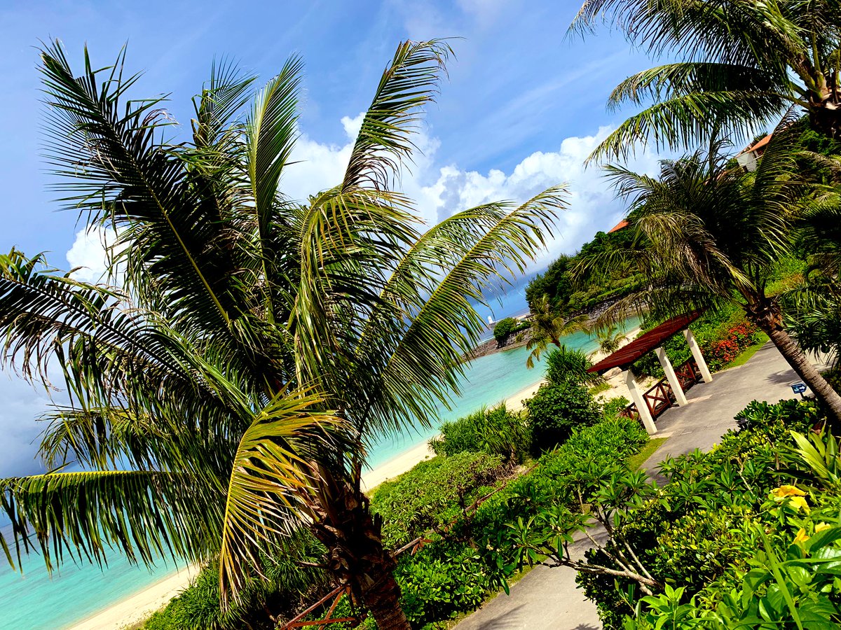 finally707's tweet image. おはようございます🏝

沖縄ロスでなんか寂しい‥🥺