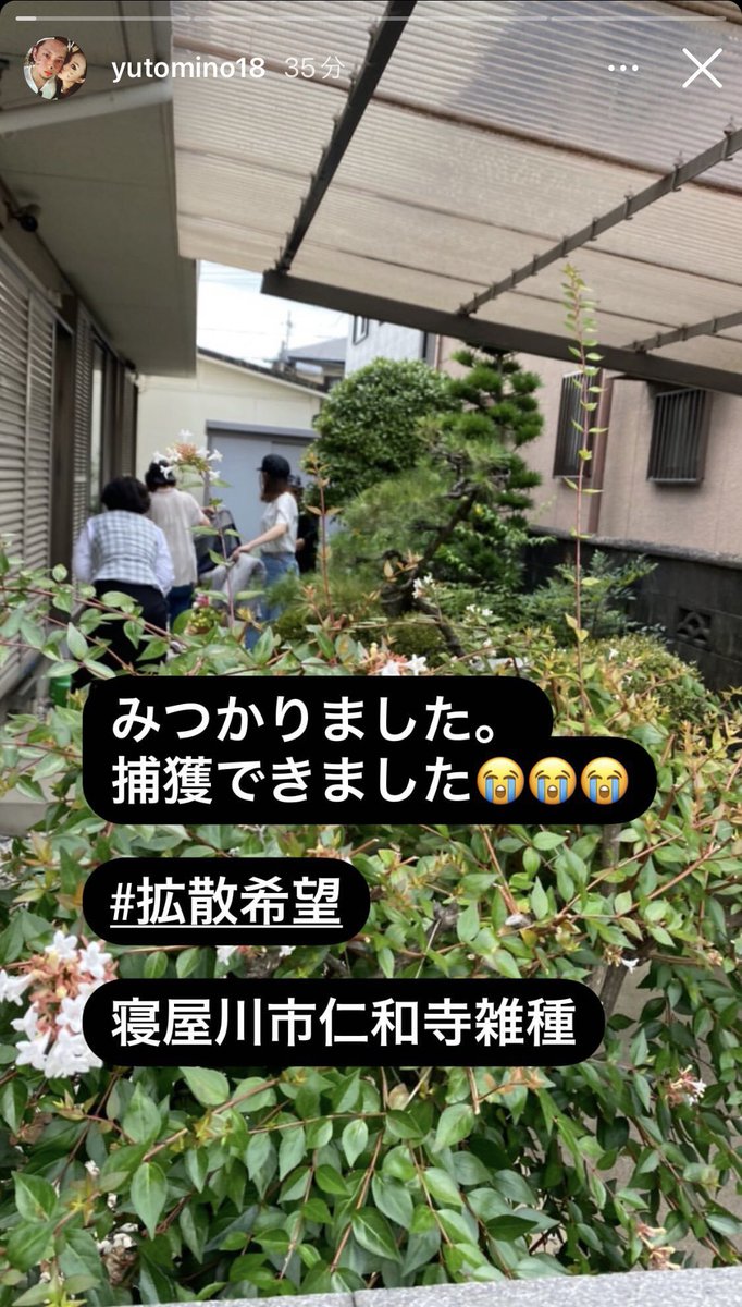 _moon_me_u's tweet photo. 【見つかりました‼️】
皆さま、拡散や捜索に
ご協力いただき
ありがとうございました❗️

6日目に目撃情報から無事に保護し
お家に帰ることができました😭💕

元ツイートは削除させて
いただきます🙇🏻‍♀️
本当に本当に
ありがとうございました😭

#寝屋川 #迷子犬 #迷い犬 #拡散希望 https://t.co/FGvWu13Mnz