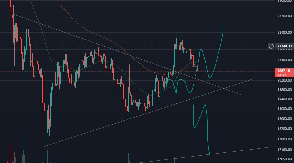 Meo Crypto tweet media