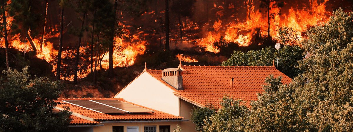 #Feux : Le Portugal 🇵🇹 fait actuellement face à de multiples incendies sur le territoire. Près de 3000 pompiers ont déjà été mobilisés.

Les températures ayant atteints les 44° par endroits, devraient continuer de monter, compliquant la situation. google.com/amp/s/informat…
