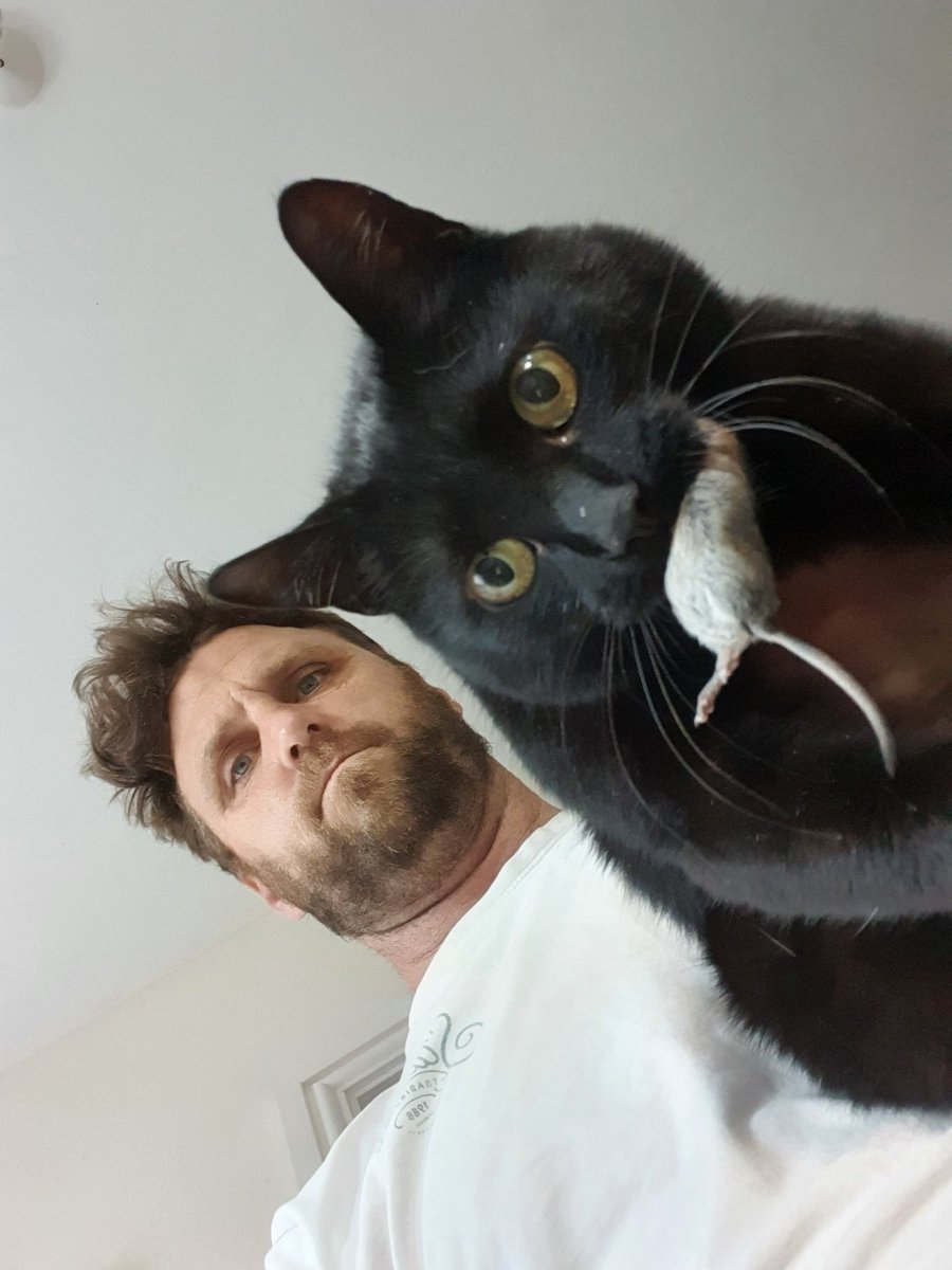 5 am murder! 
How can such a lovely, gentle girl be such a killing machine ? RIP Mick 😪
#pets 
#CatsOfTwitter 
#selfie