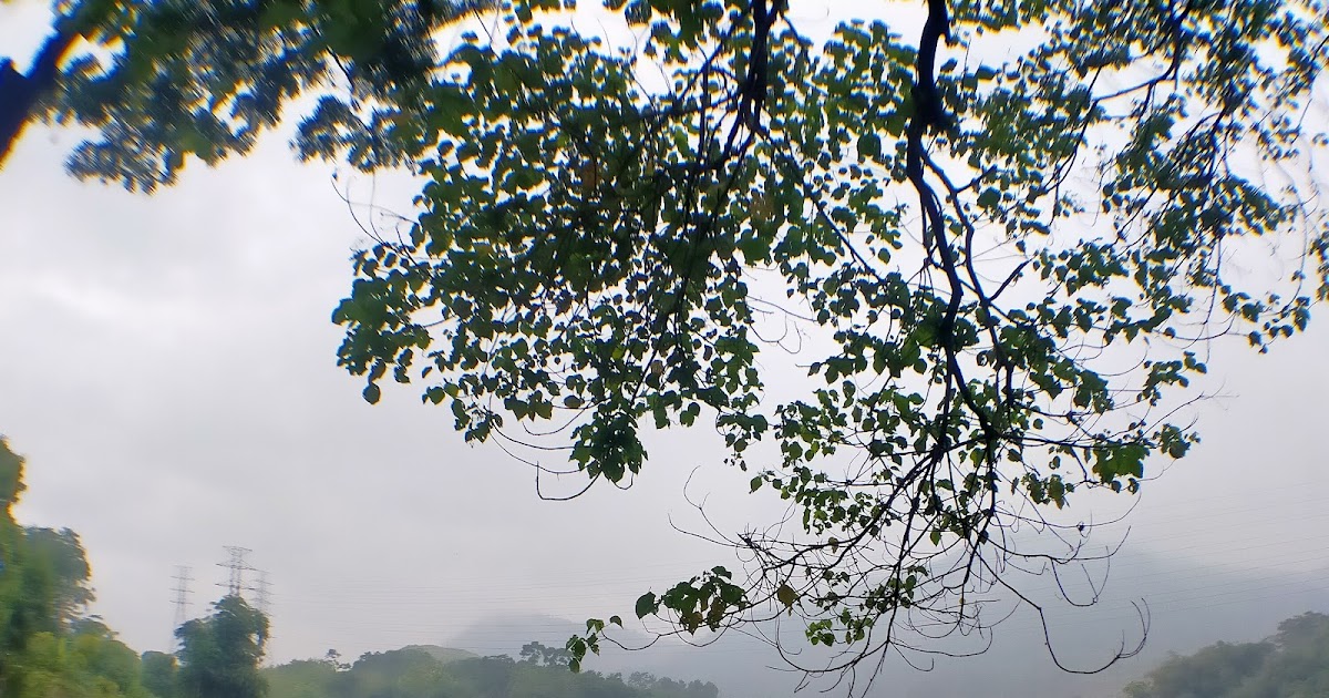 probis_id's tweet photo. TANAH DI JUAL DI JALAN UTAMA JATINANGOR https://t.co/hBWvqCxOOV https://t.co/28IRxhv3LL
