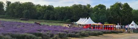 A massive thank you to Mayfield Lavender and all those who came along to support <a href="/DiamondRiding/">Diamond Centre</a> on Friday. A great night was had by all!