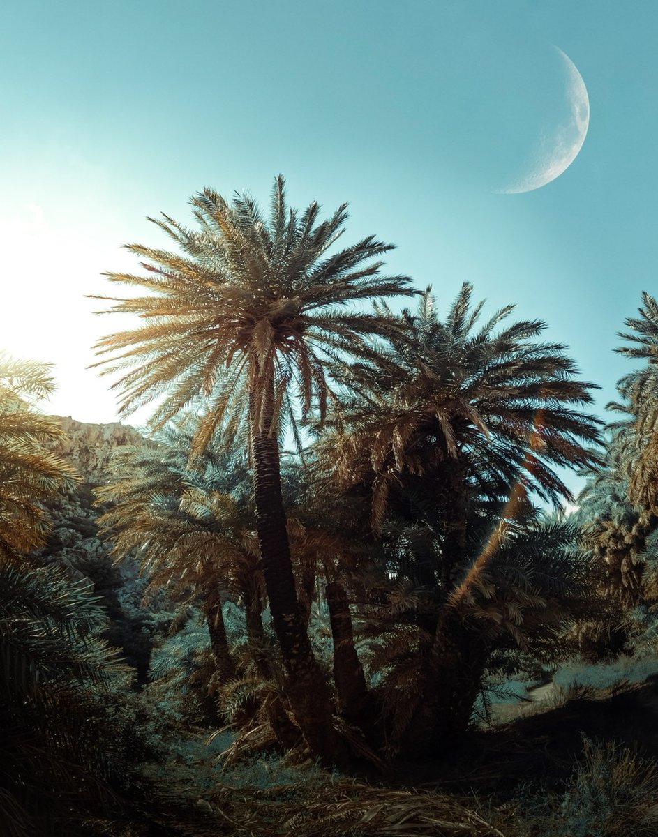 Community Building Art Thread  

❌ No links
❌ No Tags
✅ Follow
✅ Like
✅ RT