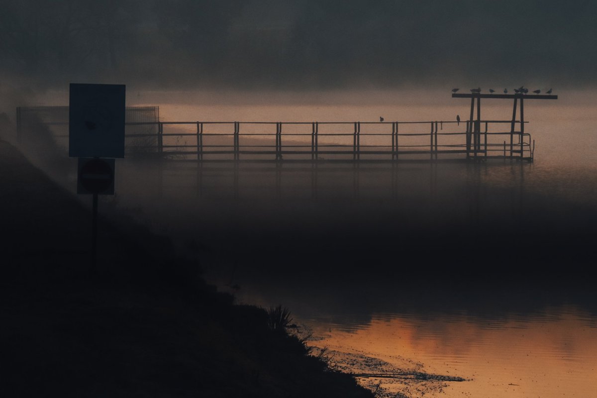 kyledsr's tweet photo. Swipe to see what he's shooting 👈👈👈
------------------------------------------------
'I'm a real sucker for anything cinematic 😉📸'
------------------------------------------------
𝚏4.5 1/200 𝚒𝚜𝚘1000 200𝚖𝚖
#street_is_life #lightbro #streets_storytelling https://t.co/dArb7cc0uj