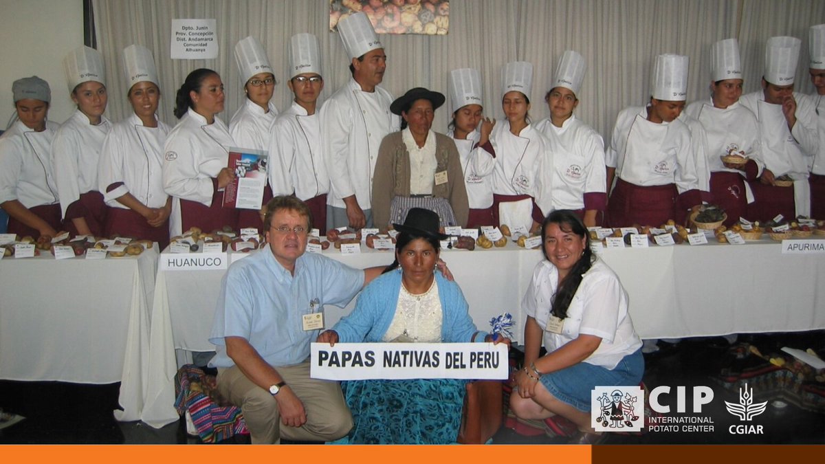 International Potato Center (@cipotato) on Twitter photo <a href="/Cipotato/">International Potato Center</a>’s Participatory Market Chain Approach helped small-scale farmers and traders in Peru access business opportunities, increasing the value of native potato 🥔 sales.
👉🏽 bit.ly/Inclusive-Inn <a href="/Cipotato/">International Potato Center</a>’s Participatory Market Chain Approach helped small-scale farmers and traders in Peru access business opportunities, increasing the value of native potato 🥔 sales.
👉🏽 bit.ly/Inclusive-Inn
