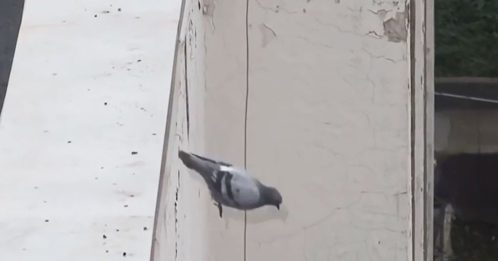 baxroma (@baxxxroma) on Twitter photo 