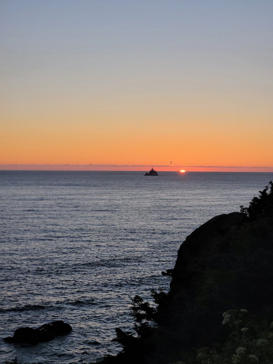 Yasha Duggal, PhD tweet media